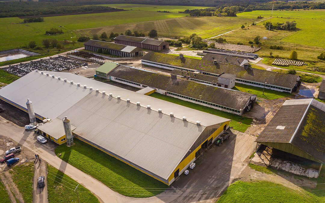 KIRBLA LAUT JA SELLE LAIENDUS